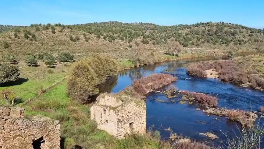 Herdade com Terreno Rústico de 39,7 ha e 1,7 km de Margem de Rio – Fronteira com Espanha - Image 11