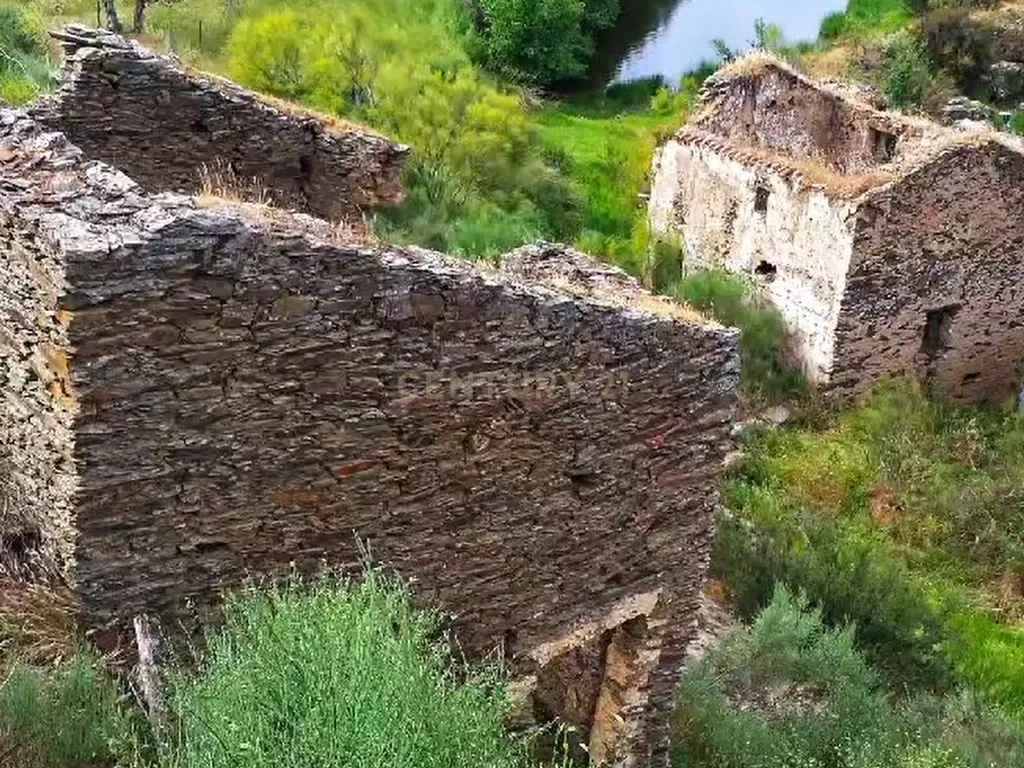 Herdade com Terreno Rústico de 39,7 ha e 1,7 km de Margem de Rio – Fronteira com Espanha - Image 5