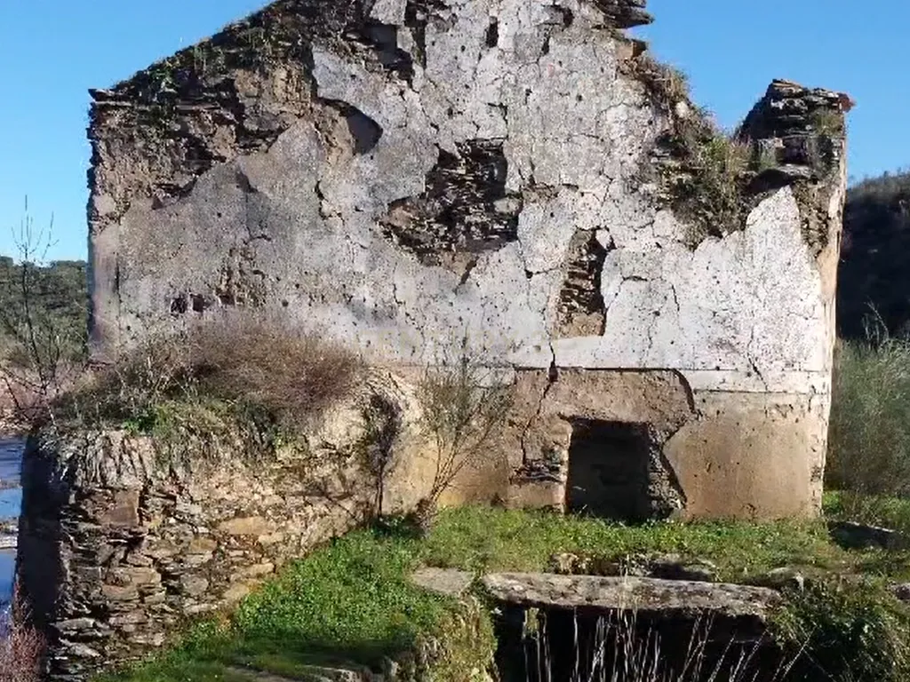 Herdade com Terreno Rústico de 39,7 ha e 1,7 km de Margem de Rio – Fronteira com Espanha - Image 4