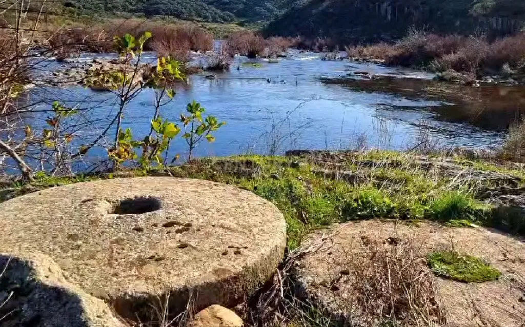 Herdade com Terreno Rústico de 39,7 ha e 1,7 km de Margem de Rio – Fronteira com Espanha - Image 1