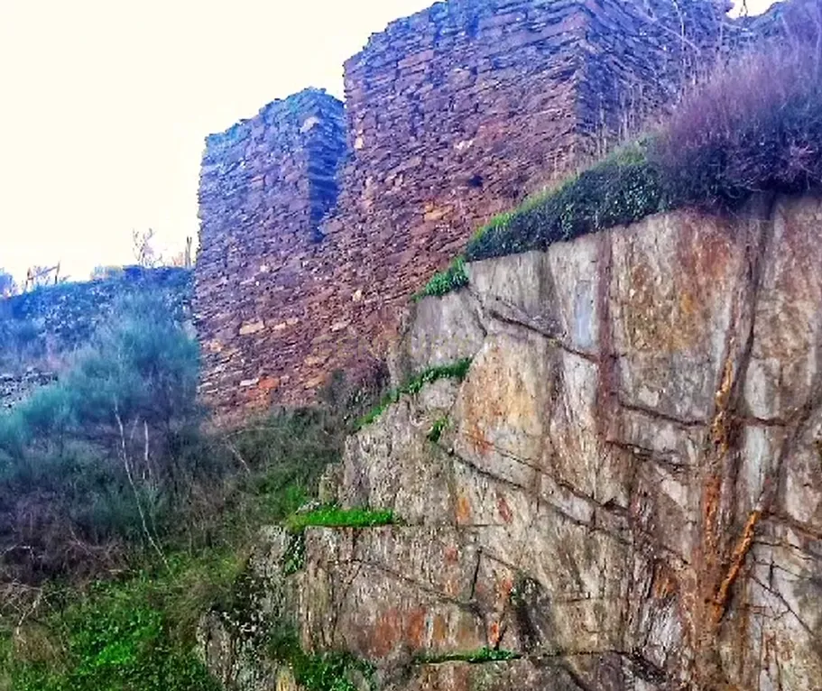 Herdade com Terreno Rústico de 39,7 ha e 1,7 km de Margem de Rio – Fronteira com Espanha - Image 7