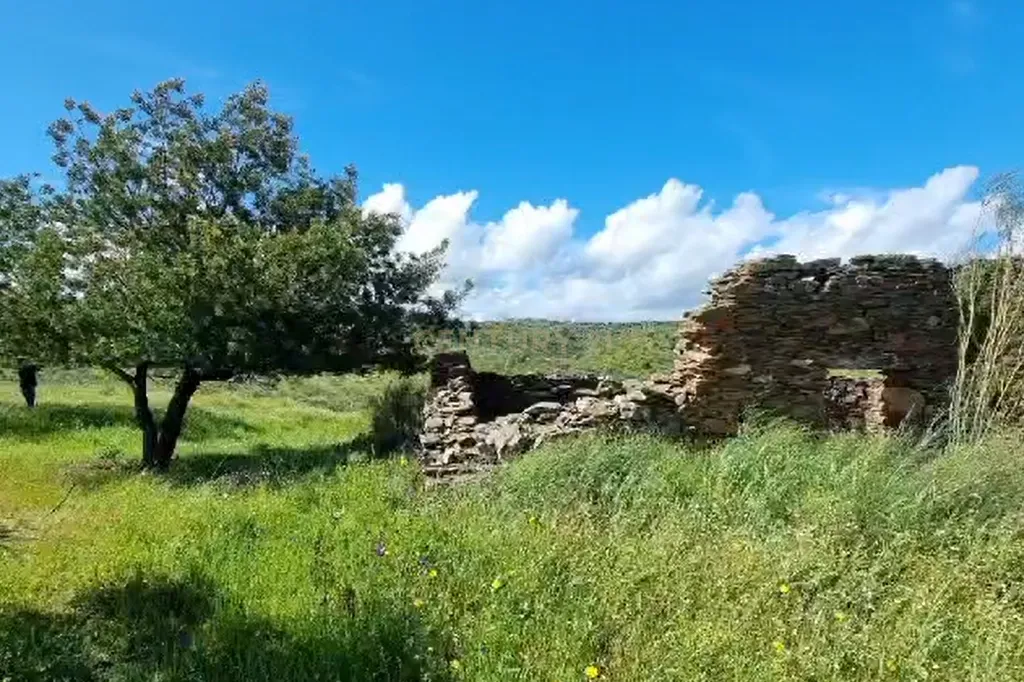 Herdade com Terreno Rústico de 39,7 ha e 1,7 km de Margem de Rio – Fronteira com Espanha - Image 3