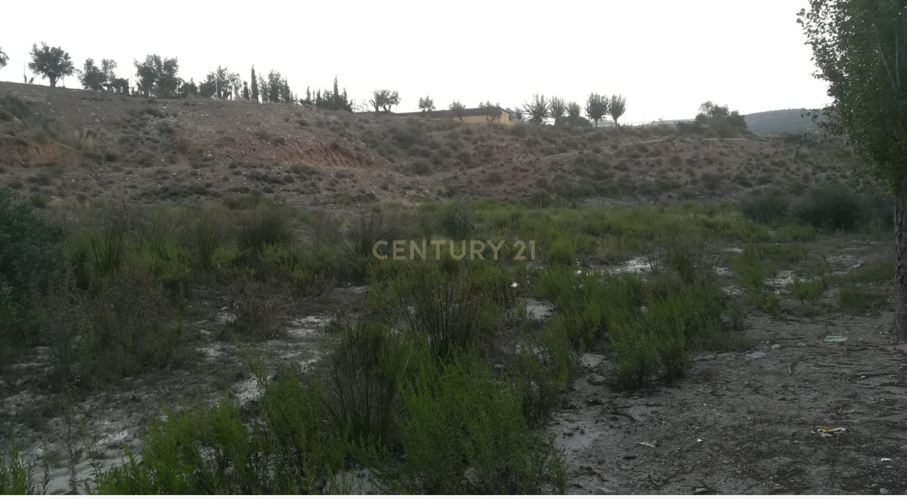 Terreno - Image 1