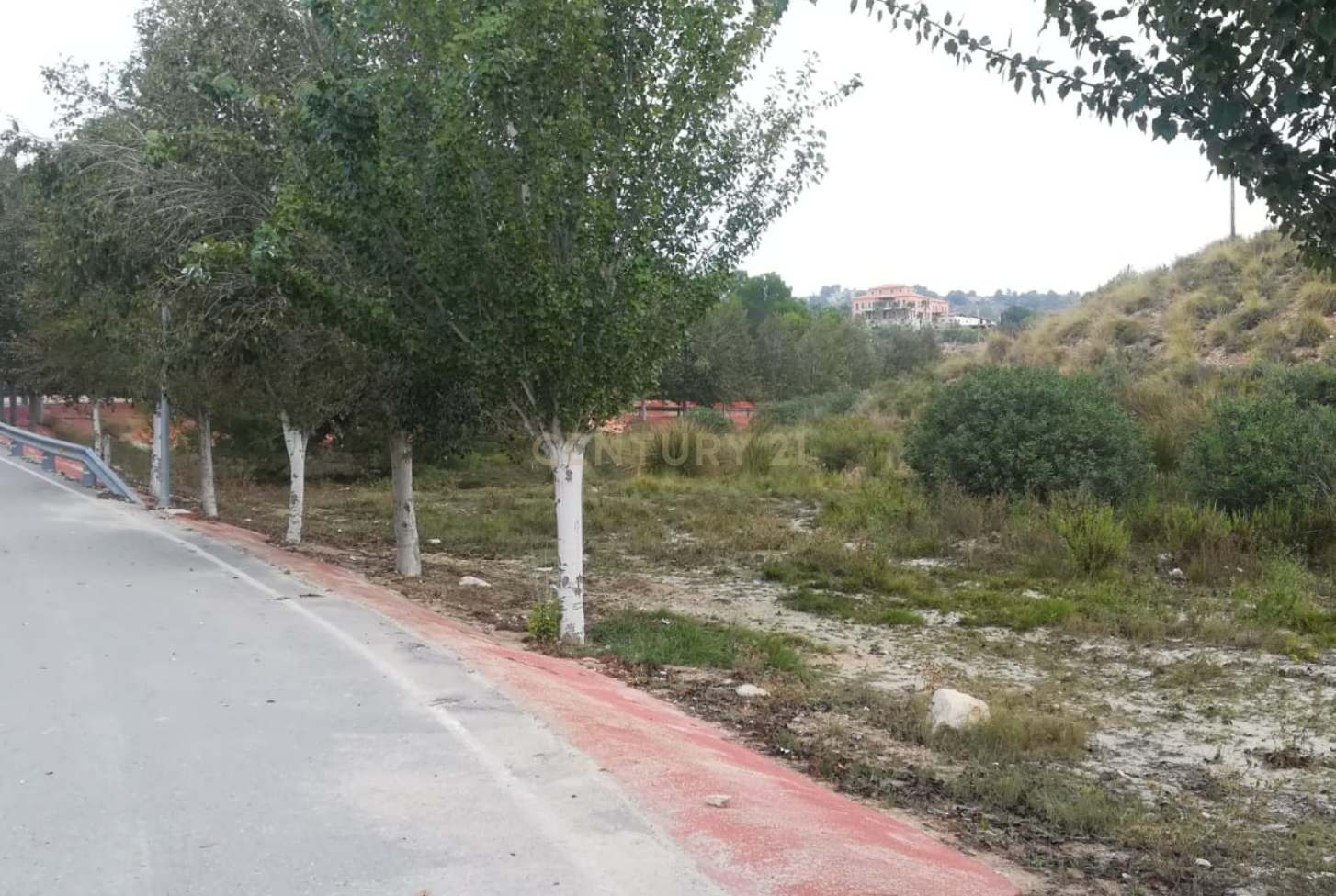 Terreno - Image 4
