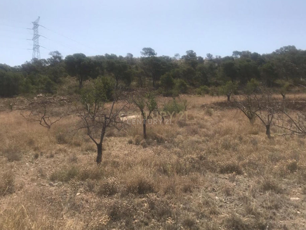 Terreno - Image 6