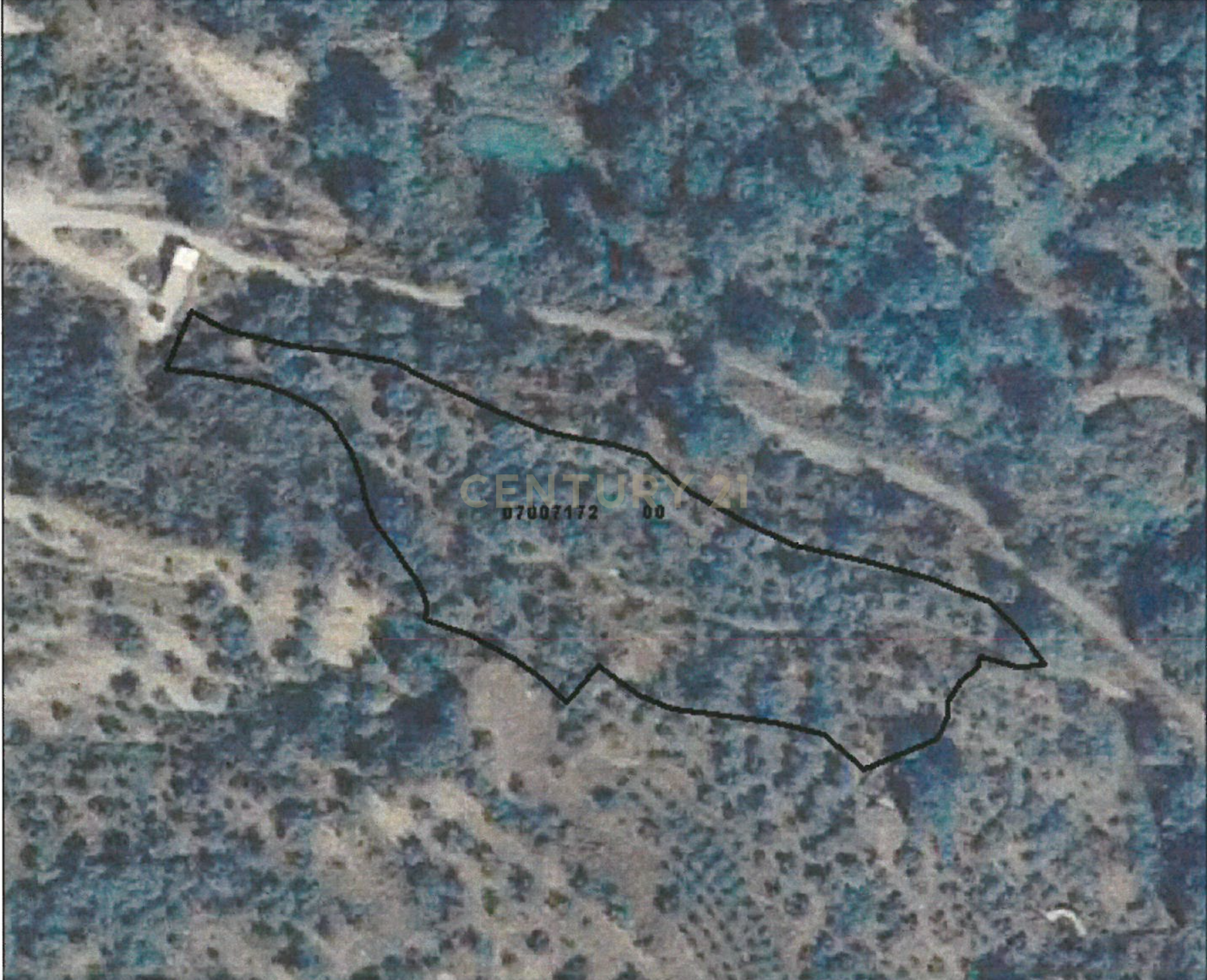 undefined - Image 13