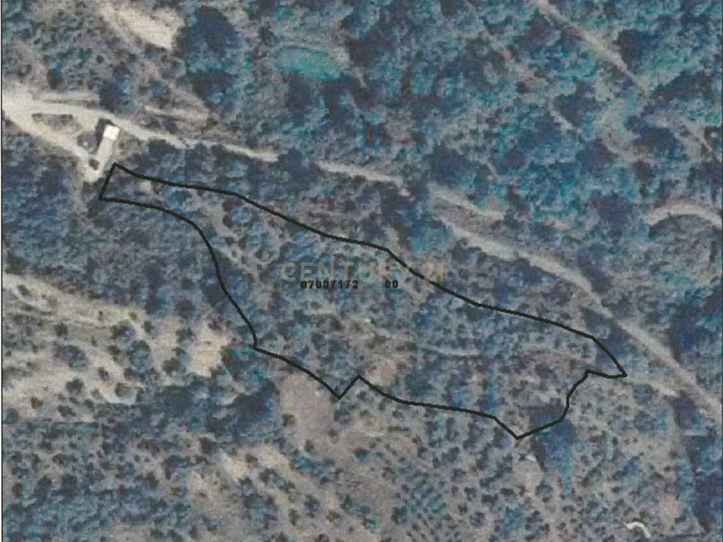 undefined - Image 13