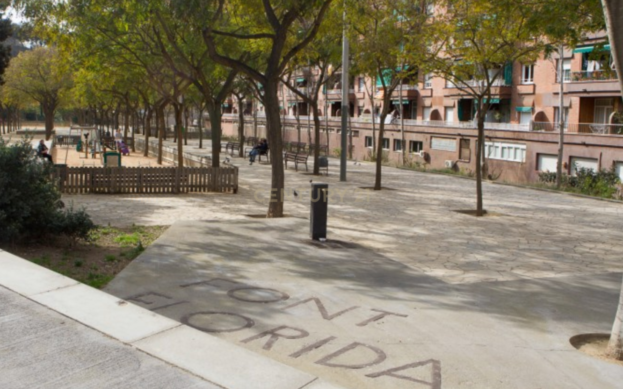undefined - Image 5