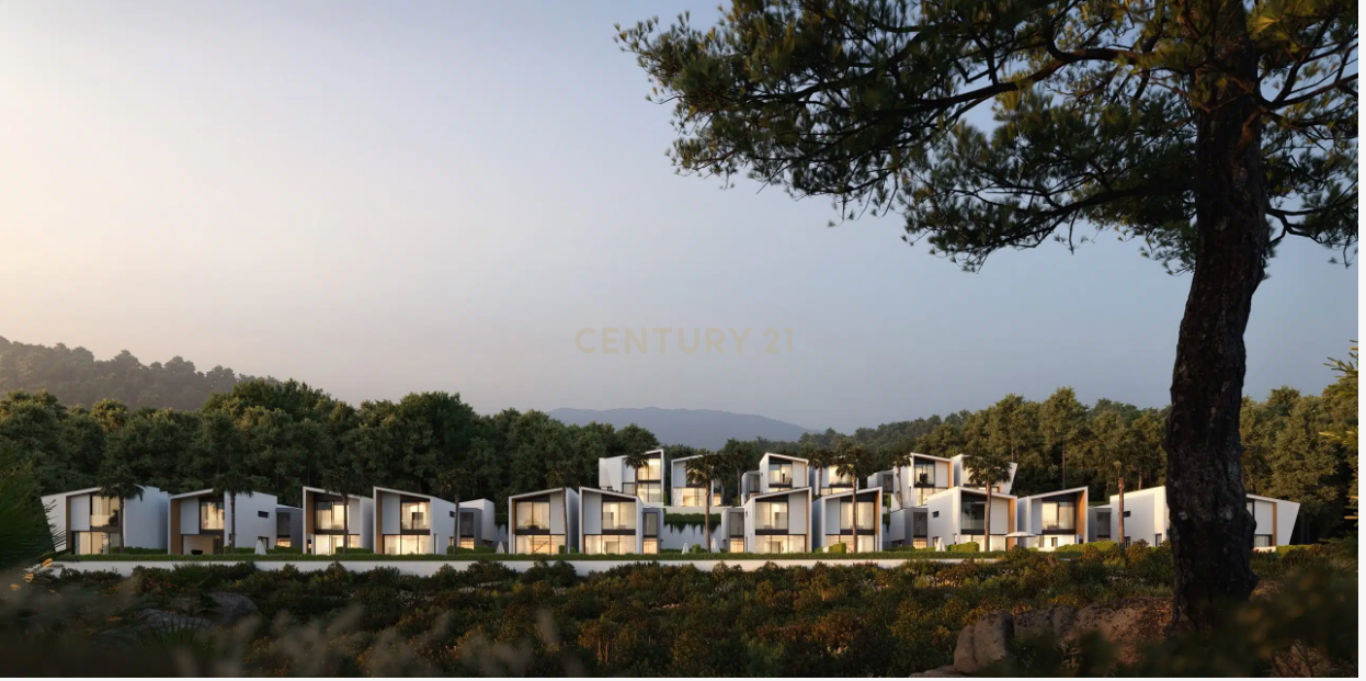 undefined - Image 2