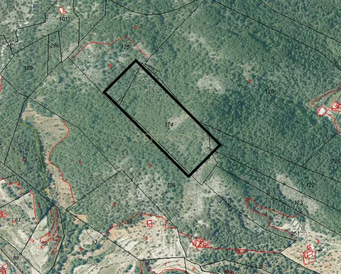 undefined - Image 4