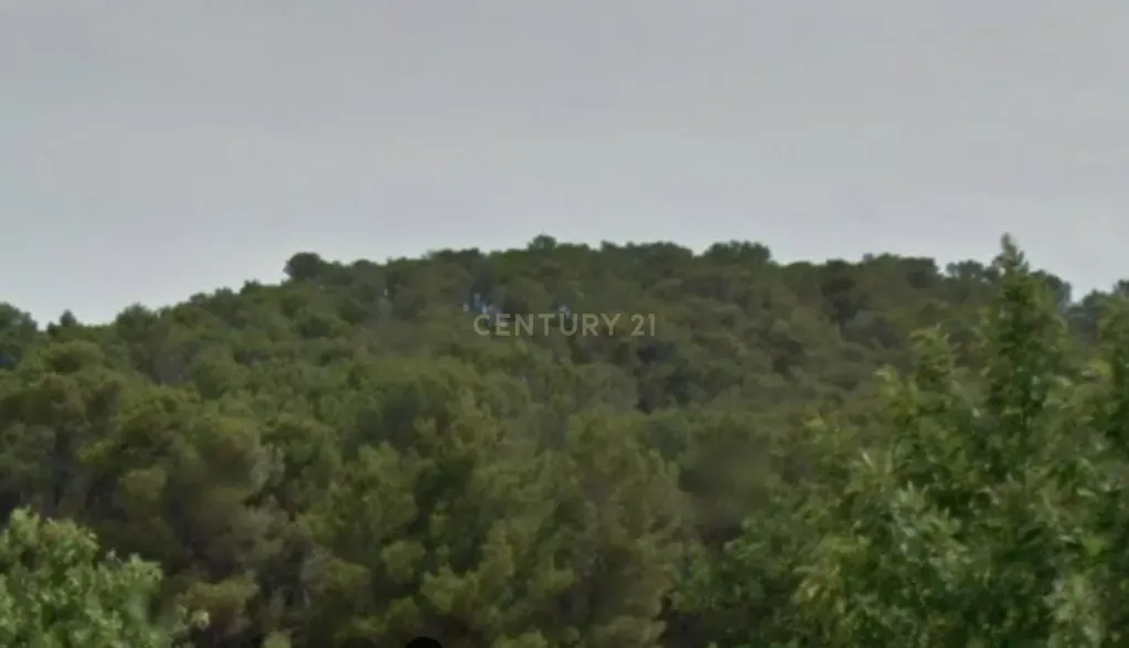 undefined - Image 3