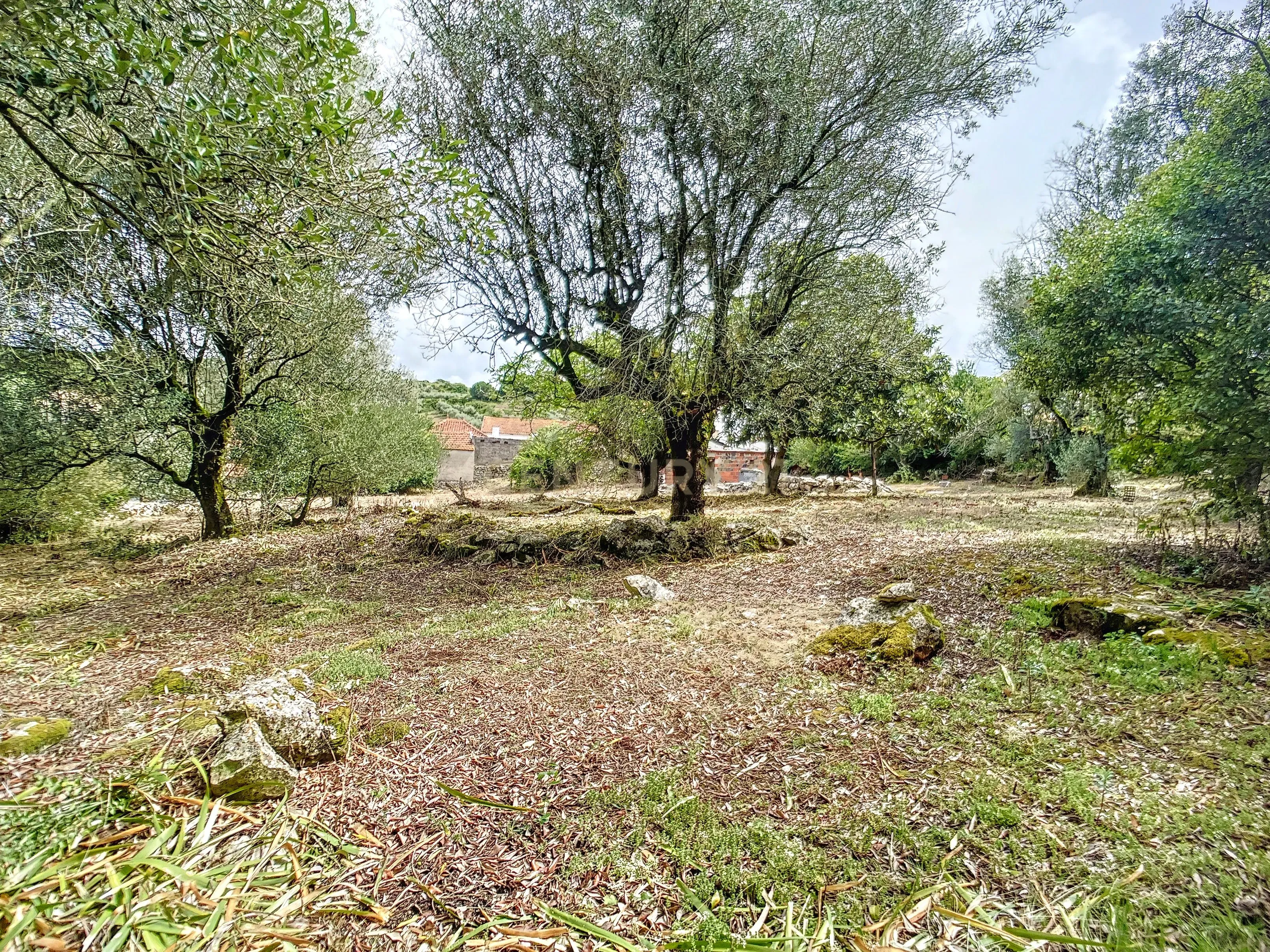 Terreno com Casinhas para Reabilitar! - Image 29