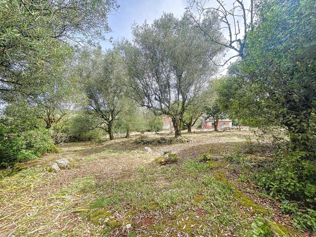 Terreno com Casinhas para Reabilitar! - Image 32