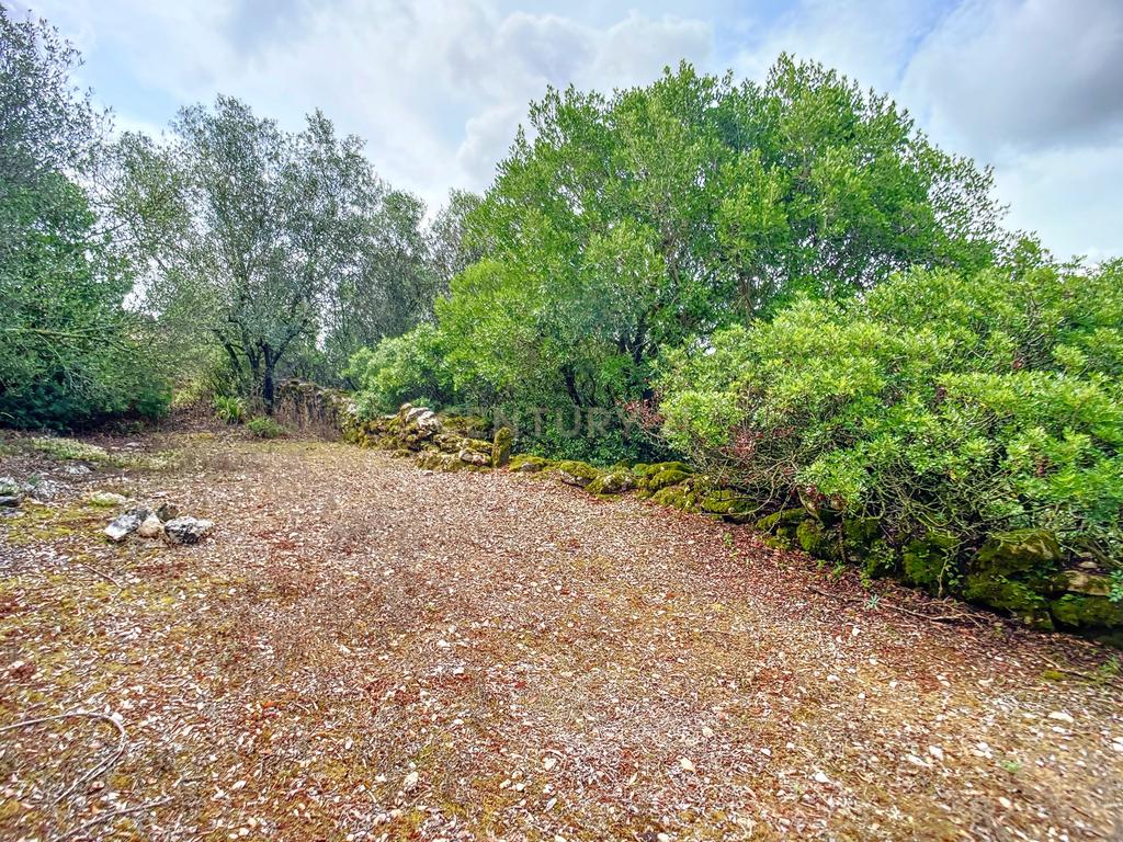 Terreno com Casinhas para Reabilitar! - Image 37