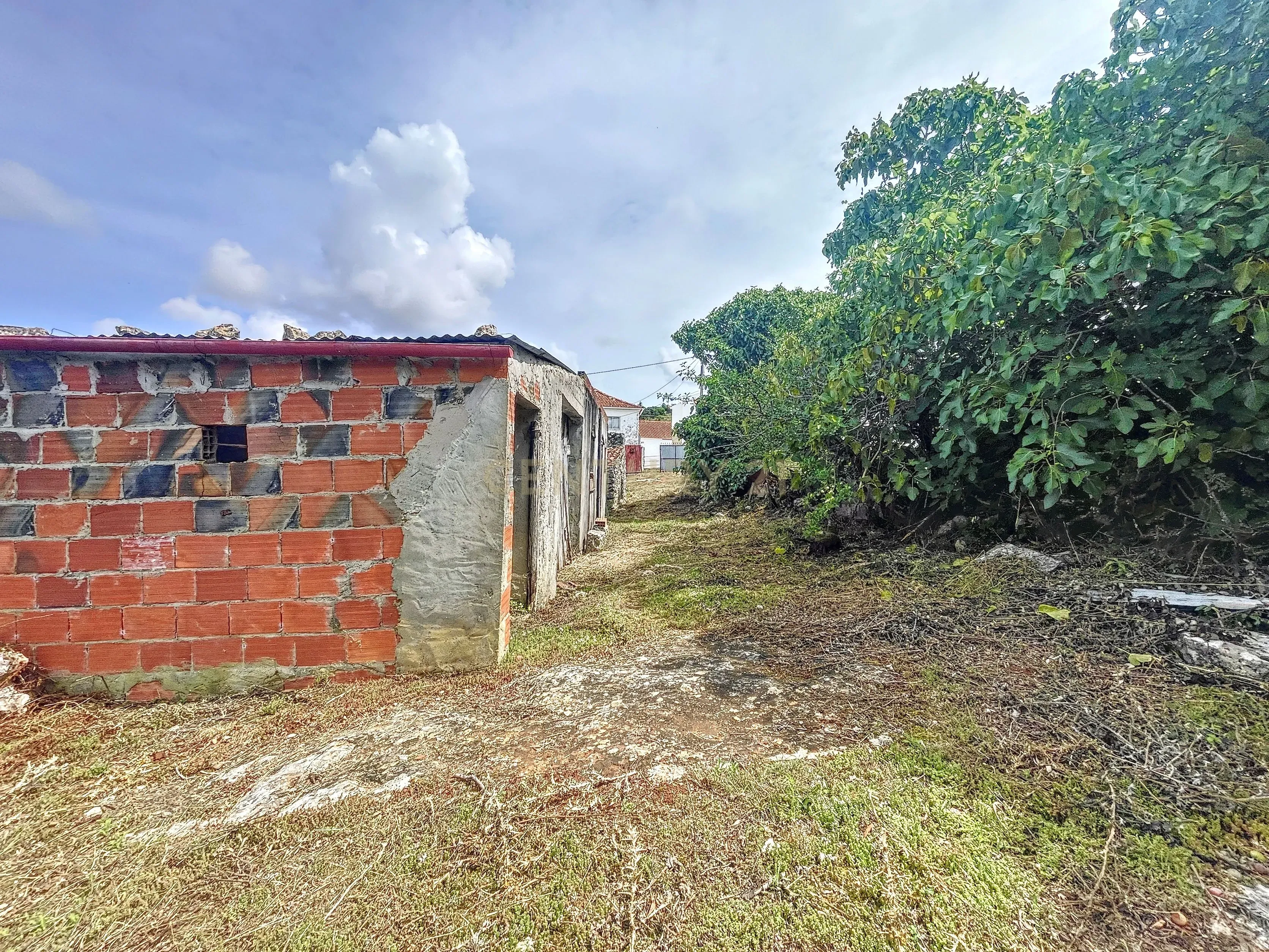 Terreno com Casinhas para Reabilitar! - Image 44