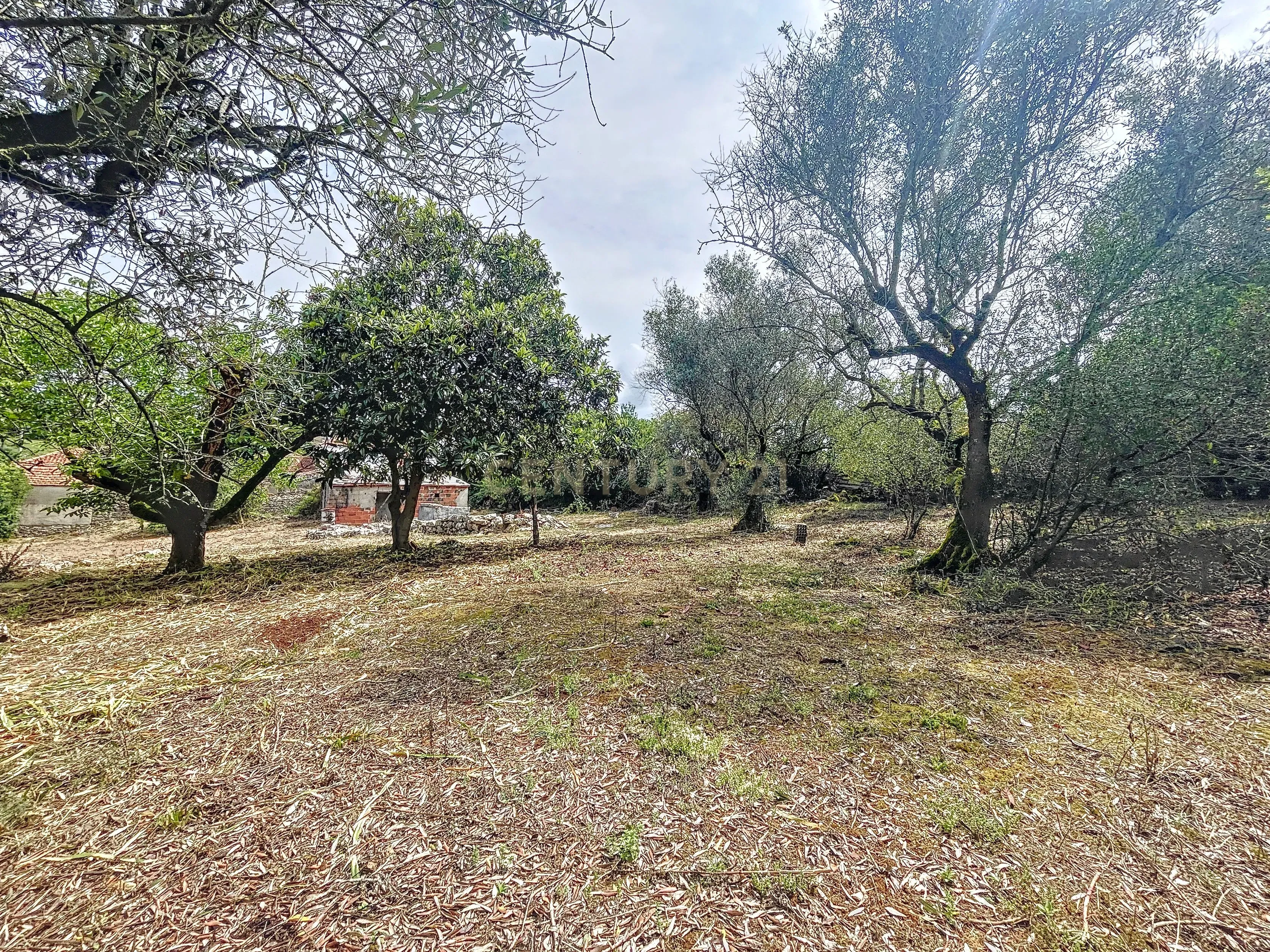 Terreno com Casinhas para Reabilitar! - Image 38
