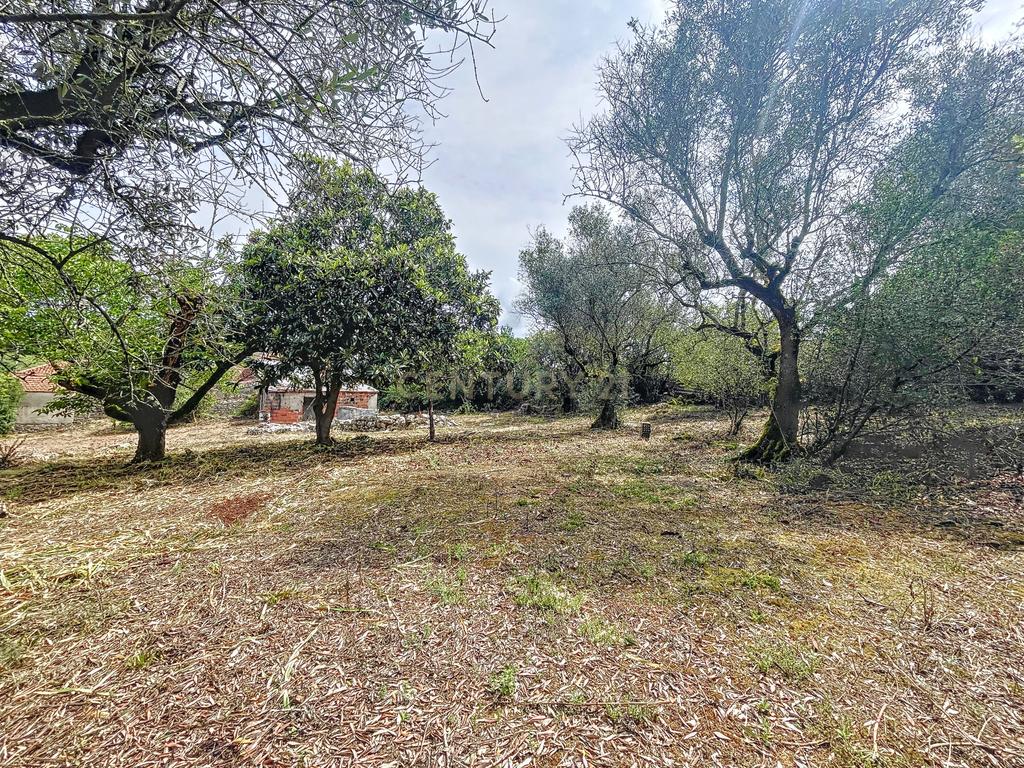 Terreno com Casinhas para Reabilitar! - Image 38