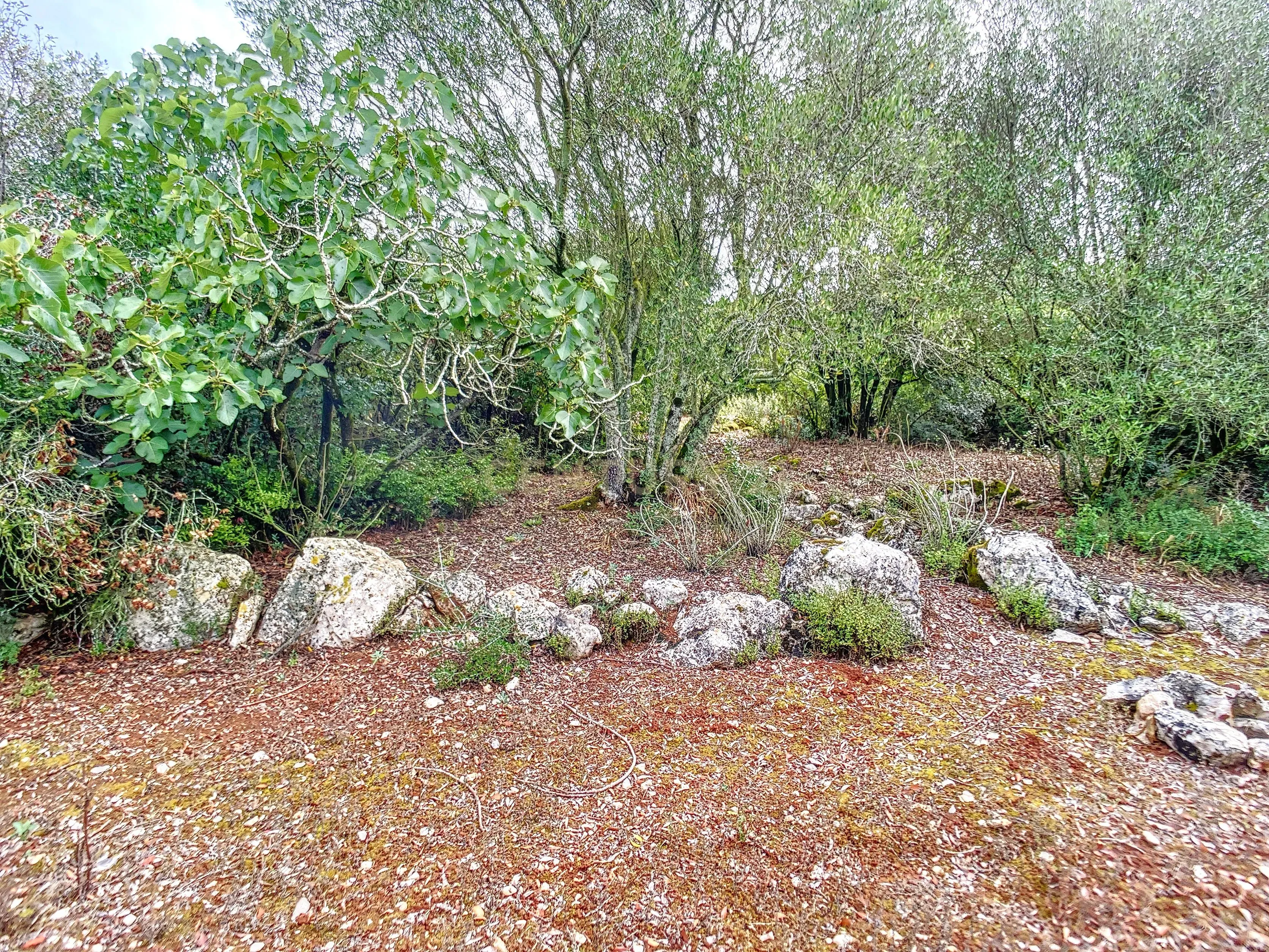 Terreno com Casinhas para Reabilitar! - Image 26