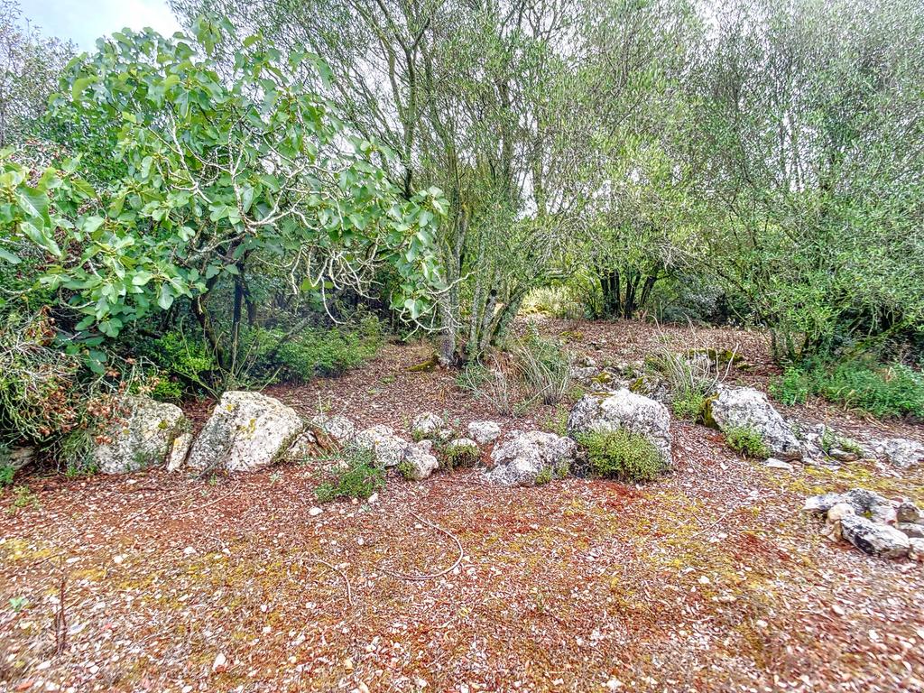 Terreno com Casinhas para Reabilitar! - Image 26