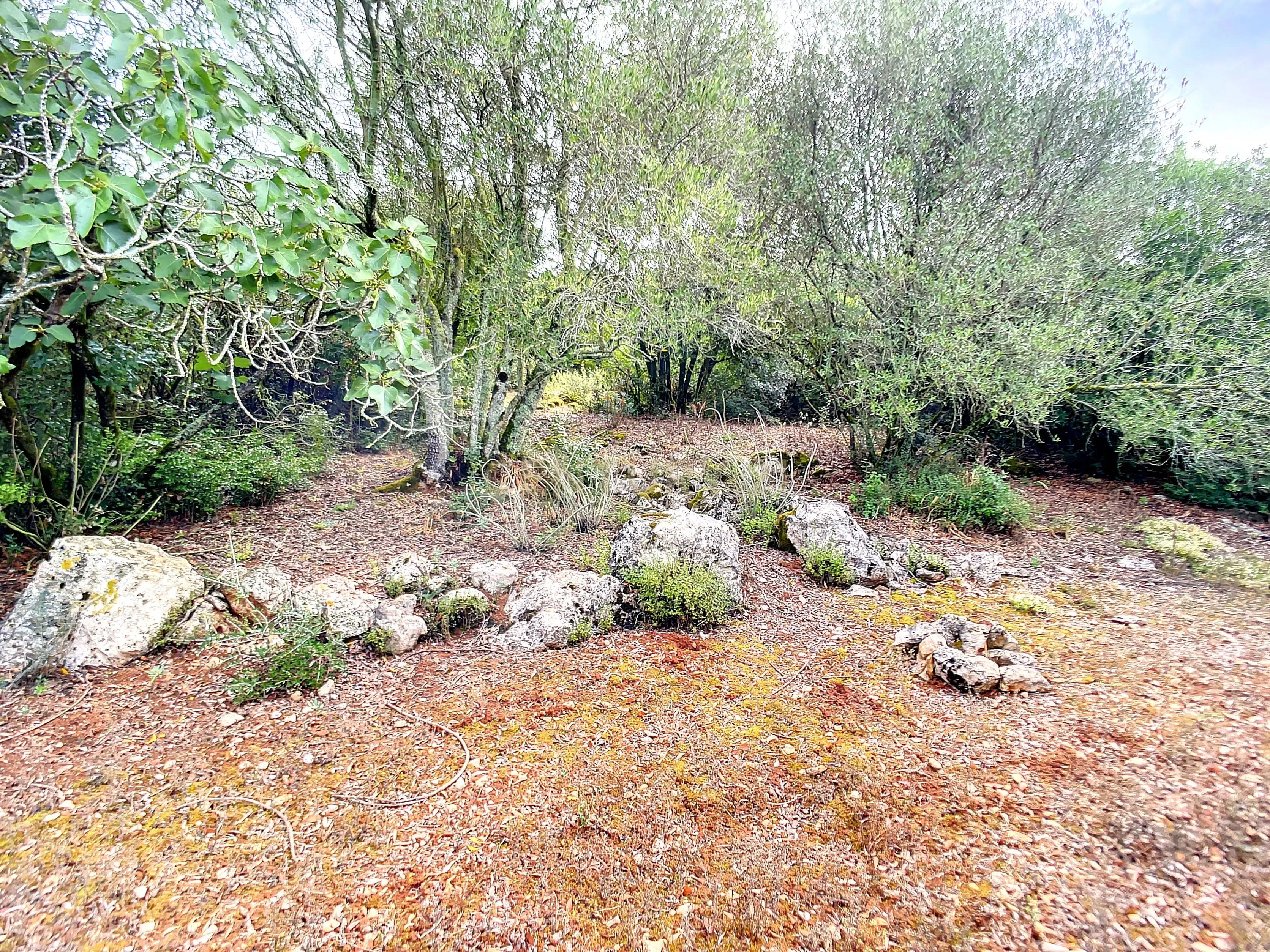 Terreno com Casinhas para Reabilitar! - Image 24