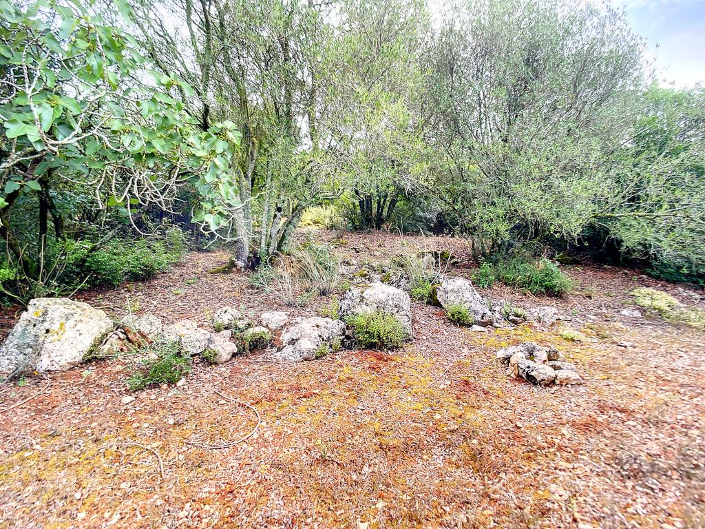 Terreno com Casinhas para Reabilitar! - Image 24