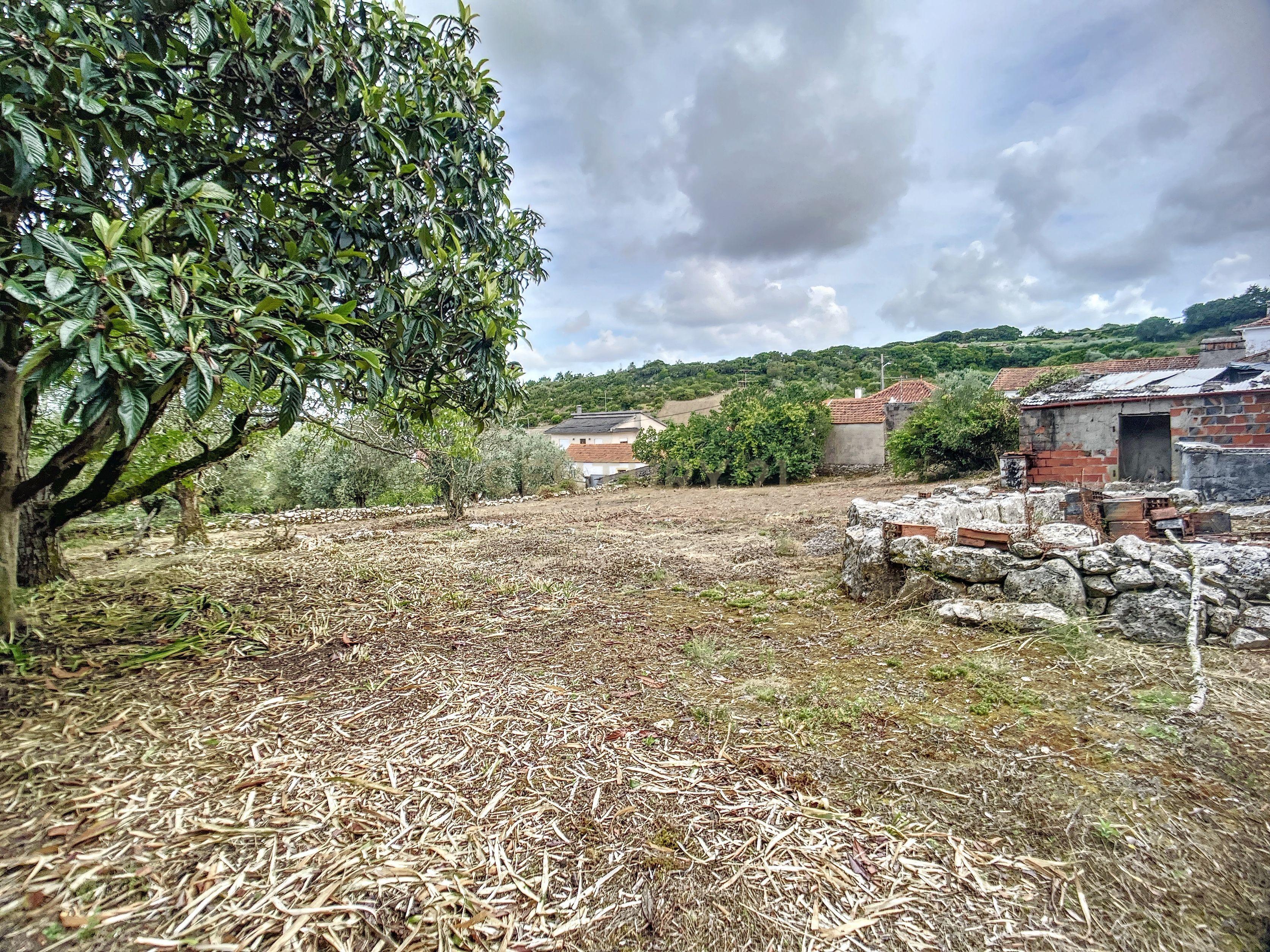 Terreno com Casinhas para Reabilitar! - Image 13