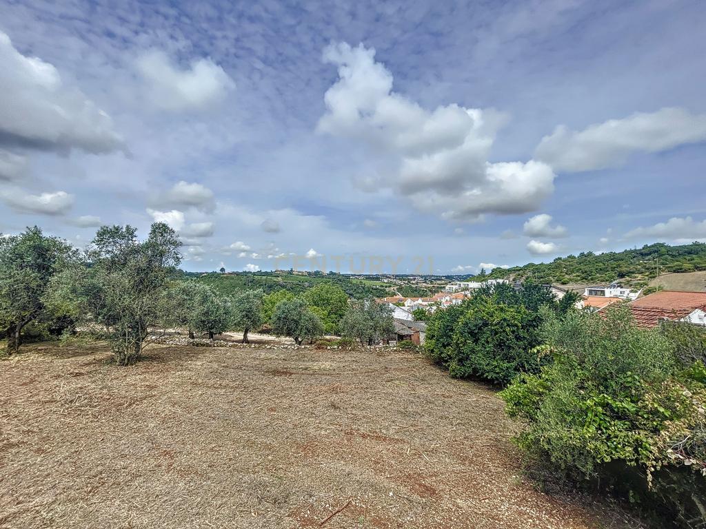 Terreno com Casinhas para Reabilitar! - Image 3