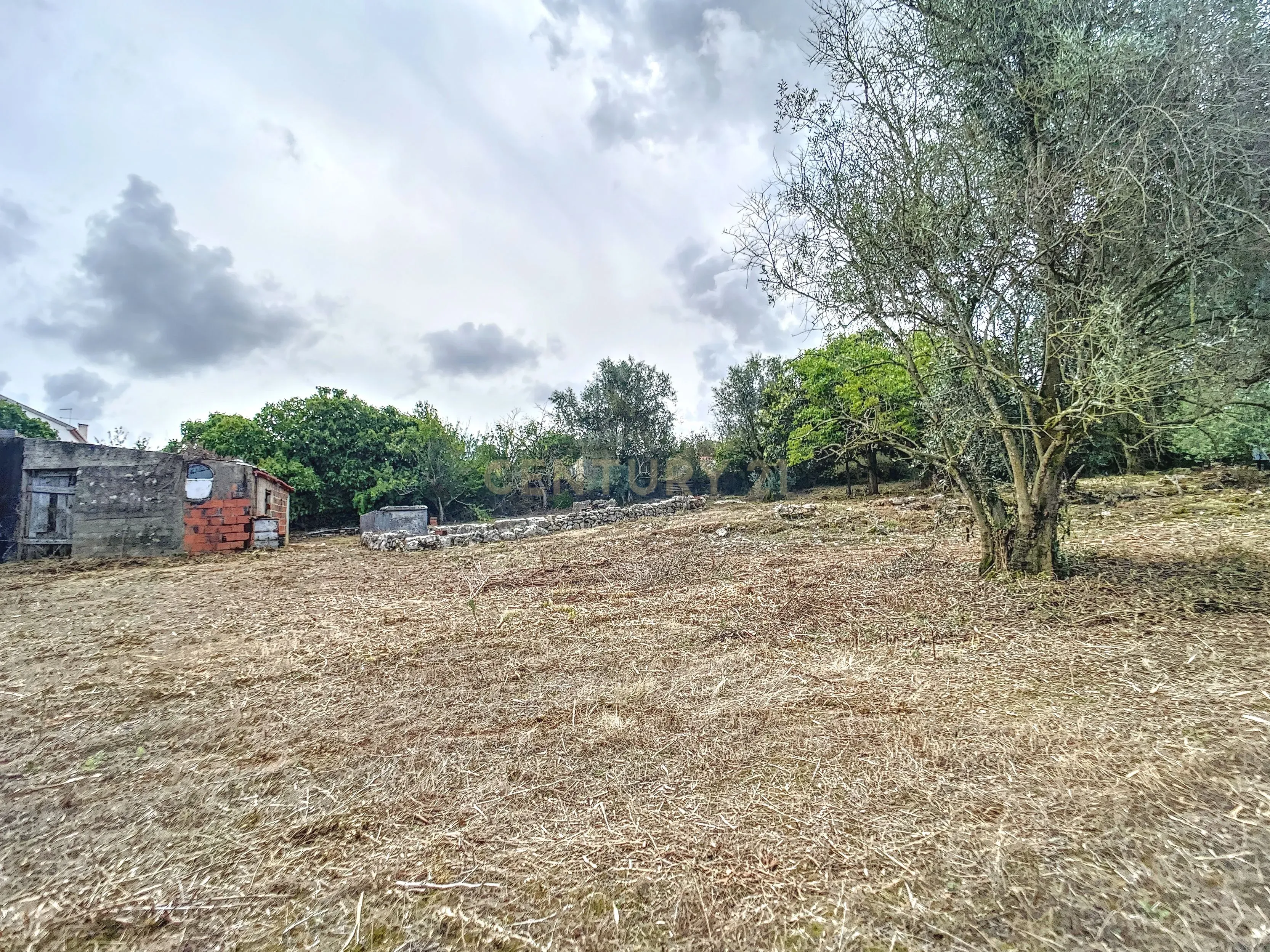 Terreno com Casinhas para Reabilitar! - Image 27