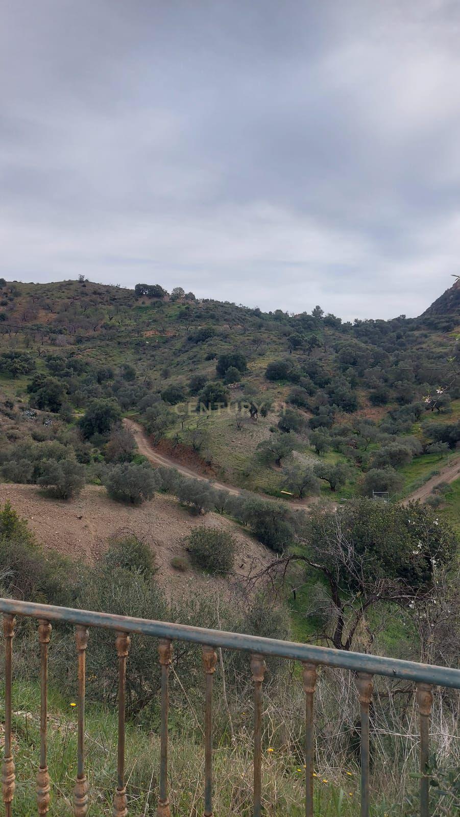 undefined - Image 50