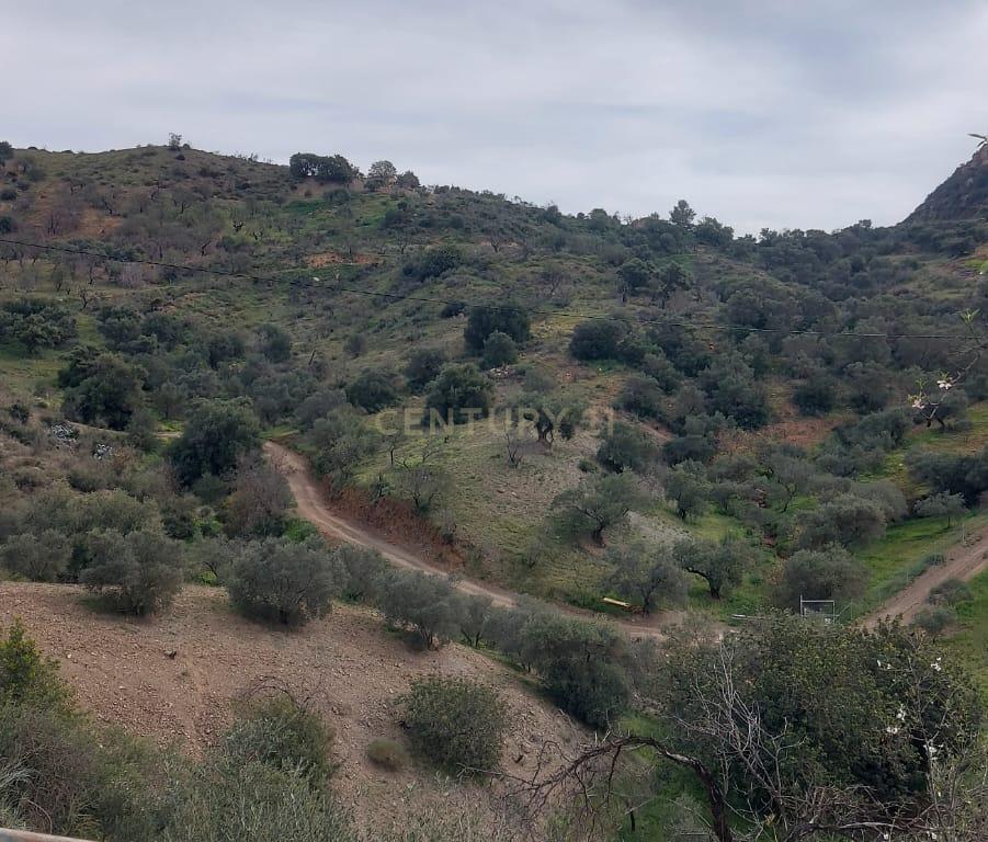 undefined - Image 50
