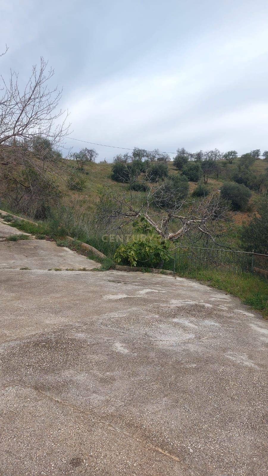 undefined - Image 53