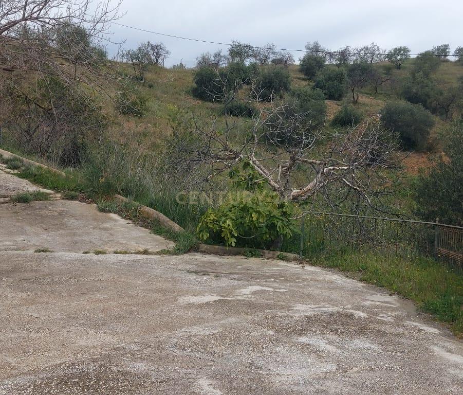 undefined - Image 53