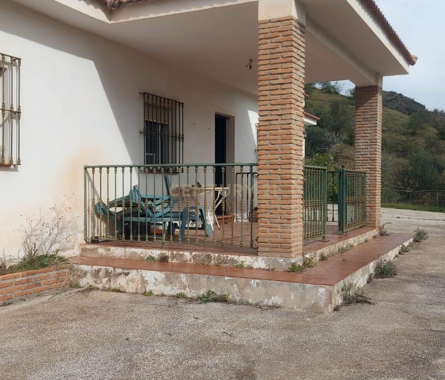 undefined - Image 10