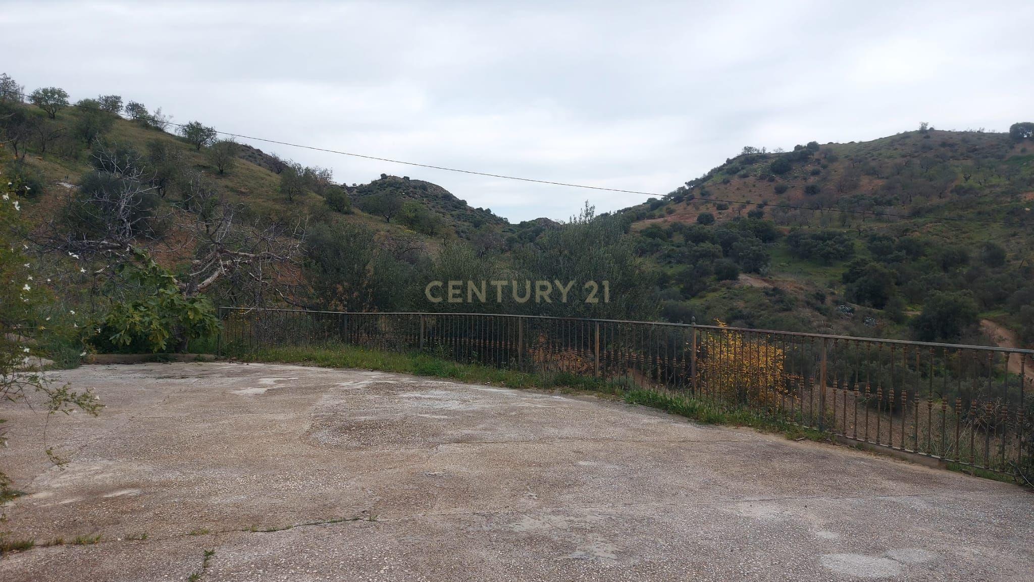 undefined - Image 49