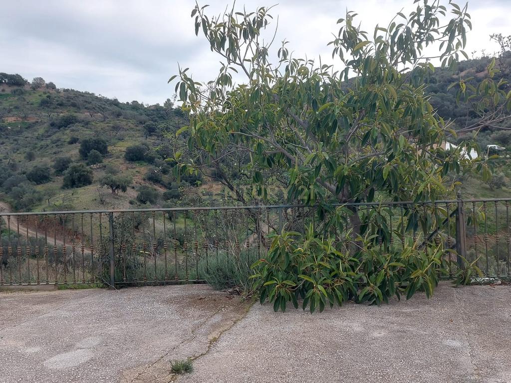 undefined - Image 43