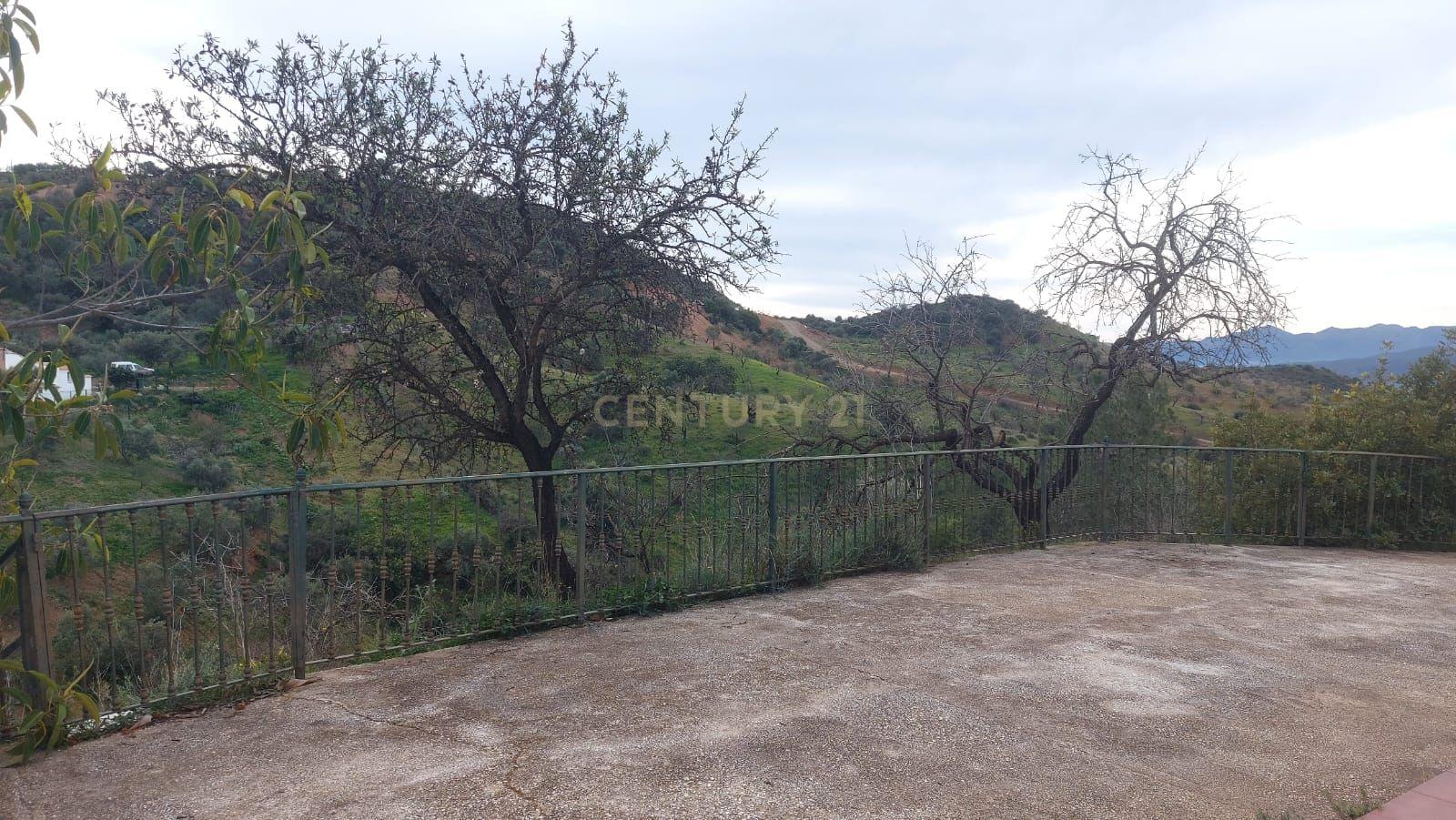 undefined - Image 47