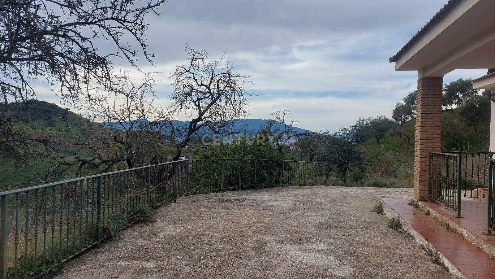 undefined - Image 11