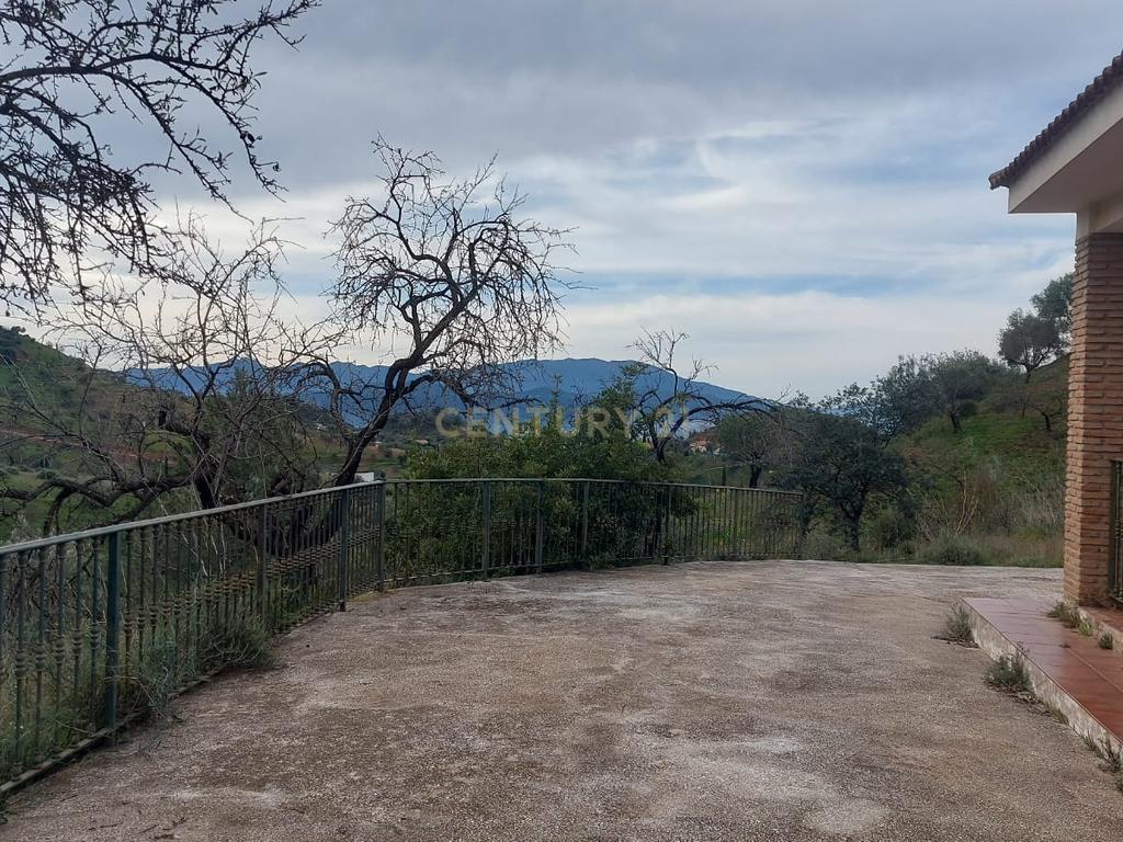 undefined - Image 11