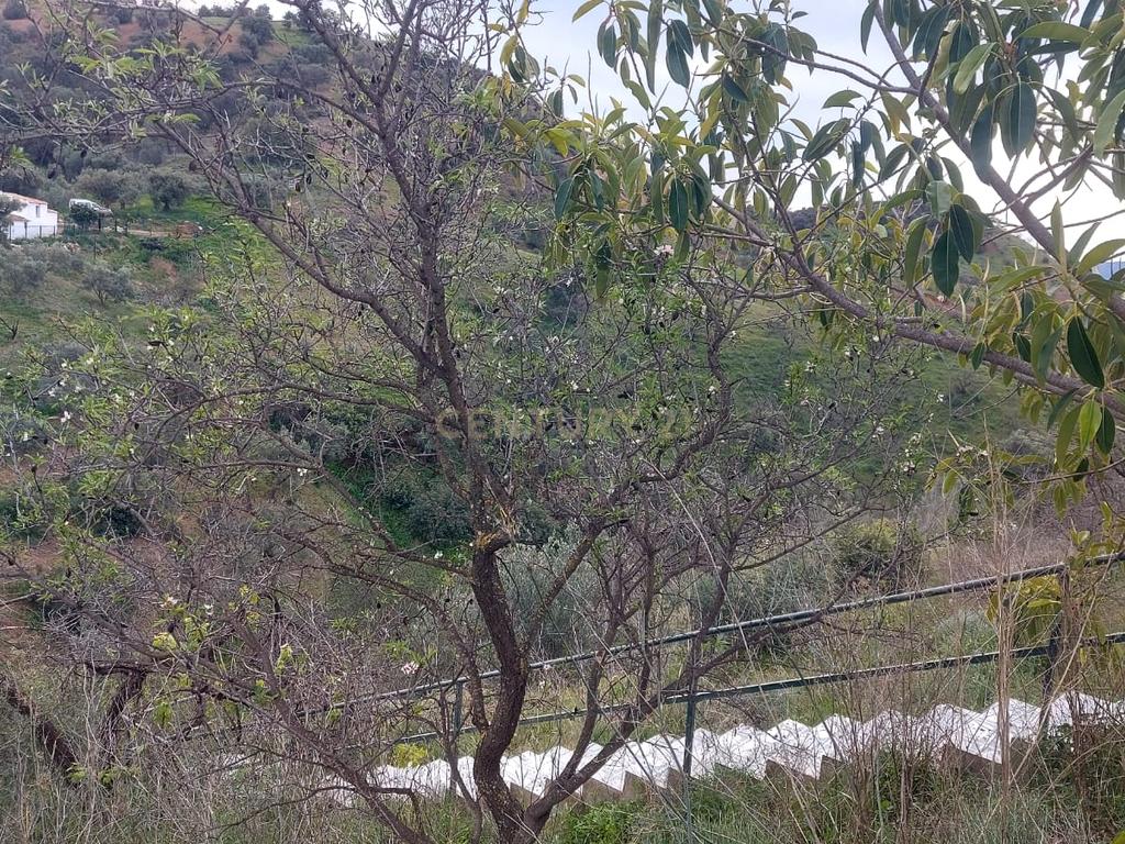 undefined - Image 48