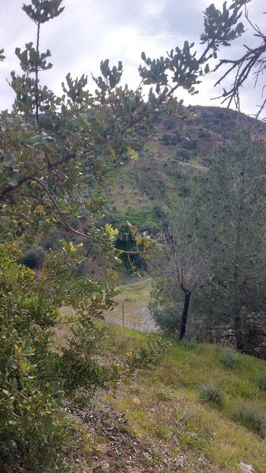 undefined - Image 54