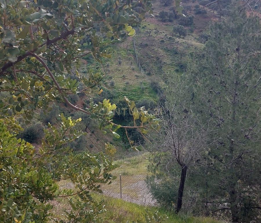 undefined - Image 54