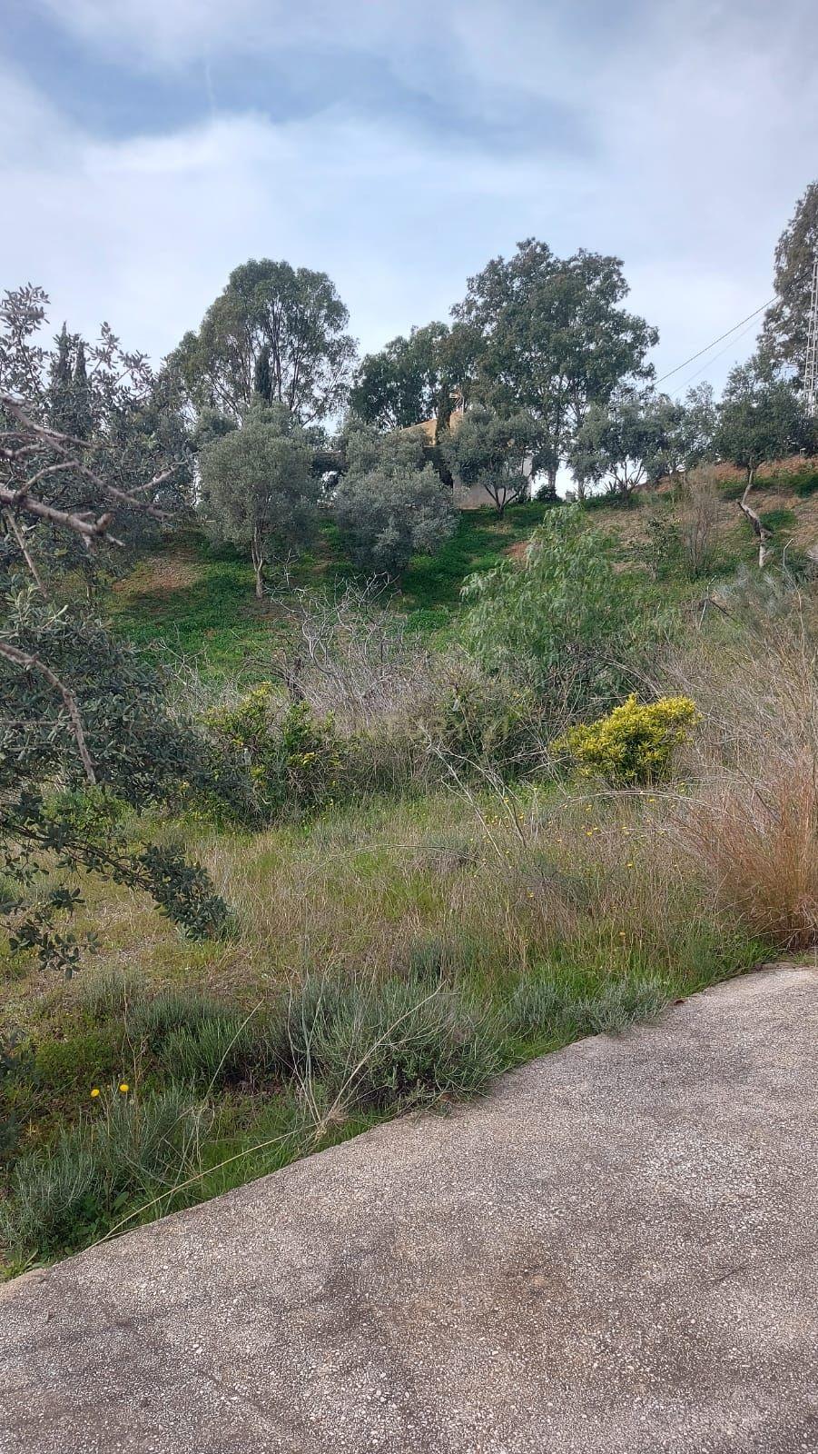 undefined - Image 51
