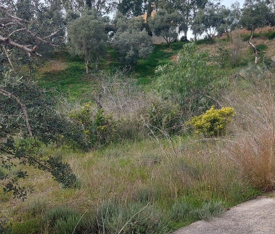 undefined - Image 51
