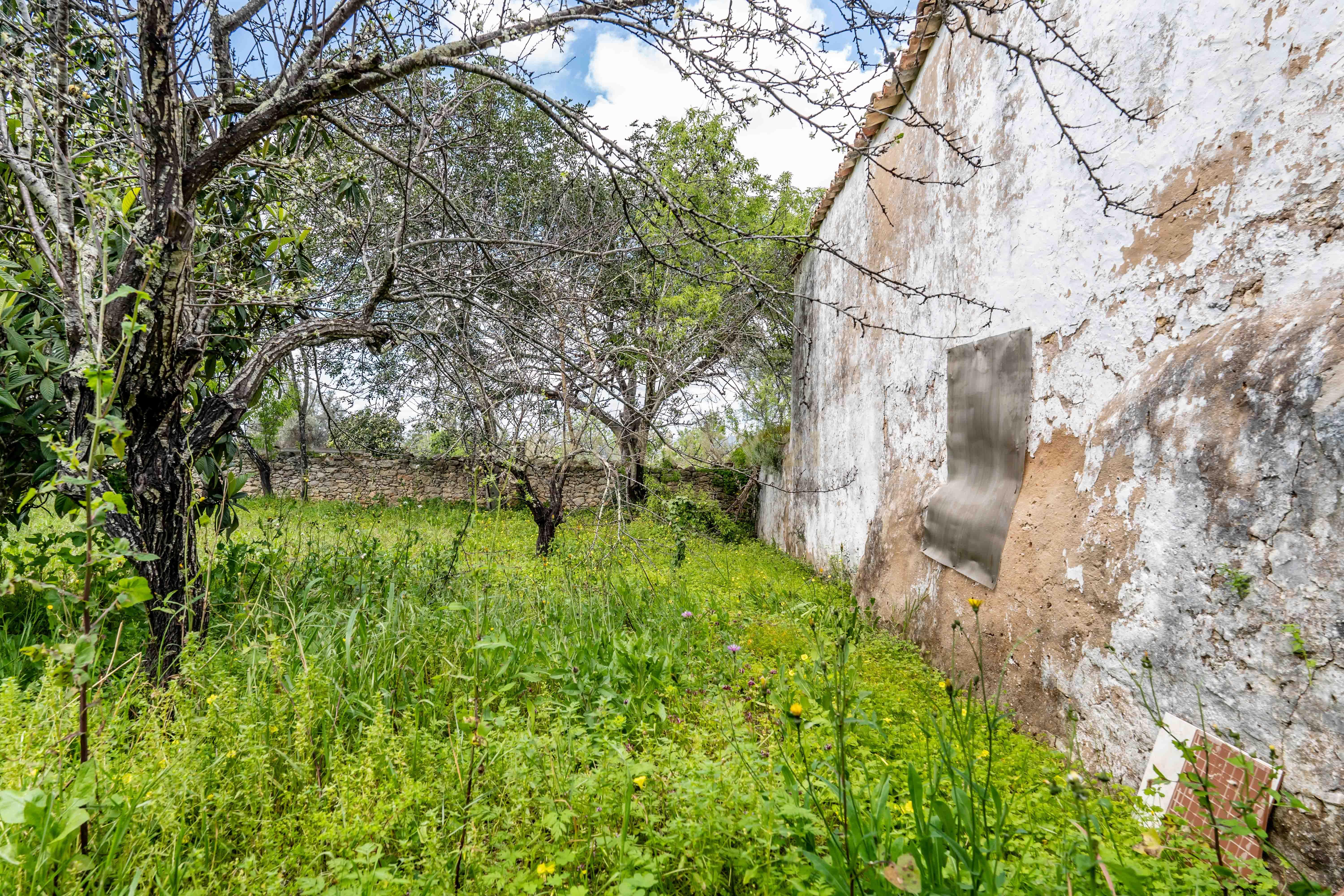 Propriedade com 2 moradias tradicionais e terrenos a venda em Paderne, Albufeira, Algarve Portugal - Image 26
