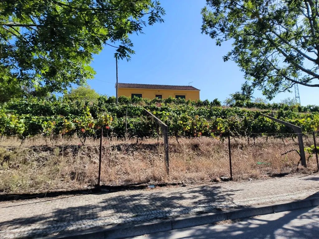 Quinta com 10,000m2 albergando uma Moradia e Armazém em São João da Pesqueira - Image 20