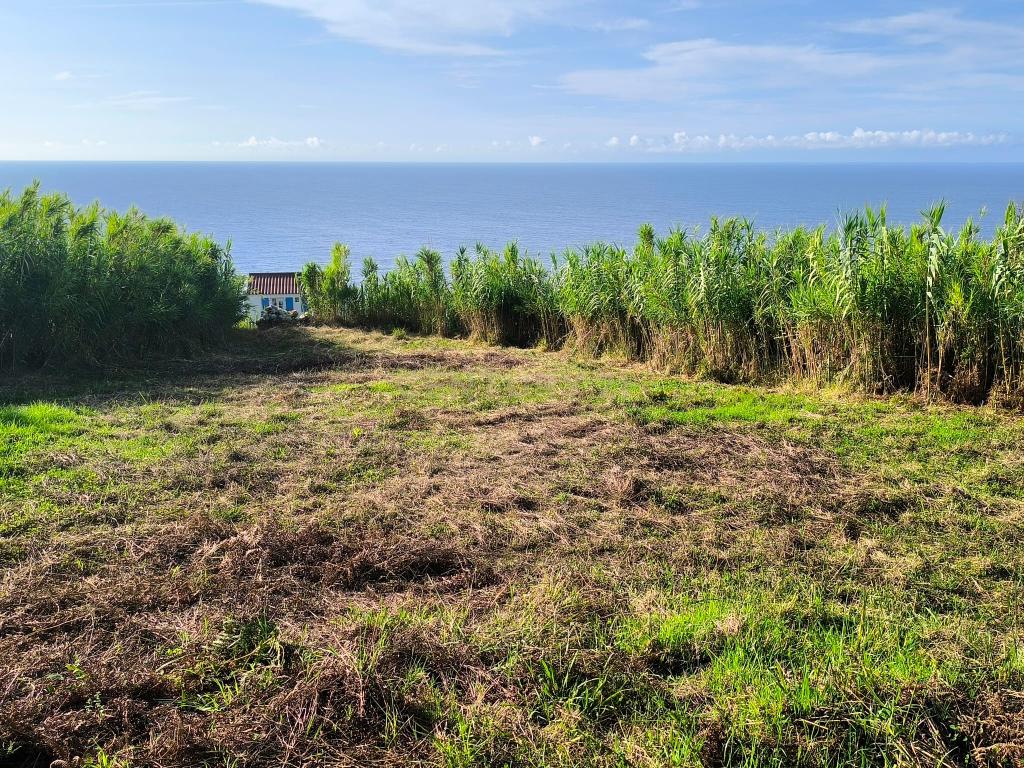 Casa T1 na Lomba Maia com  vista Mar e Grande Terreno para Explorar - Image 7