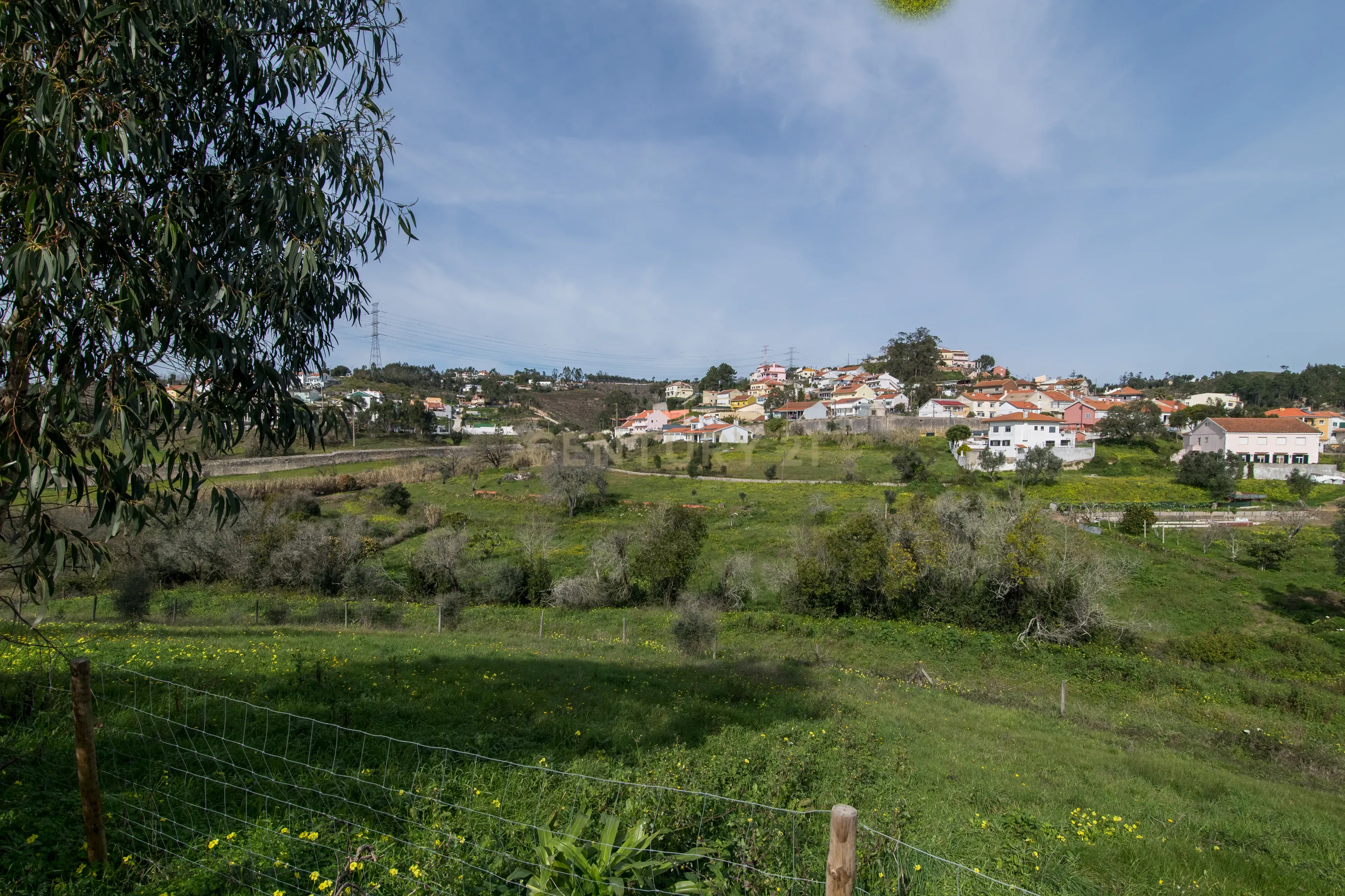 Quinta do Bretão – Um Paraíso no Campo às Portas da Cidade - Image 20
