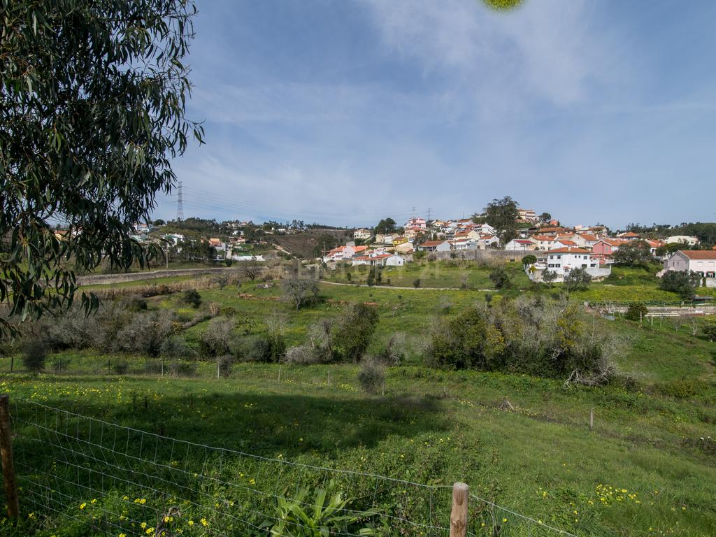 Quinta do Bretão – Um Paraíso no Campo às Portas da Cidade - Image 20