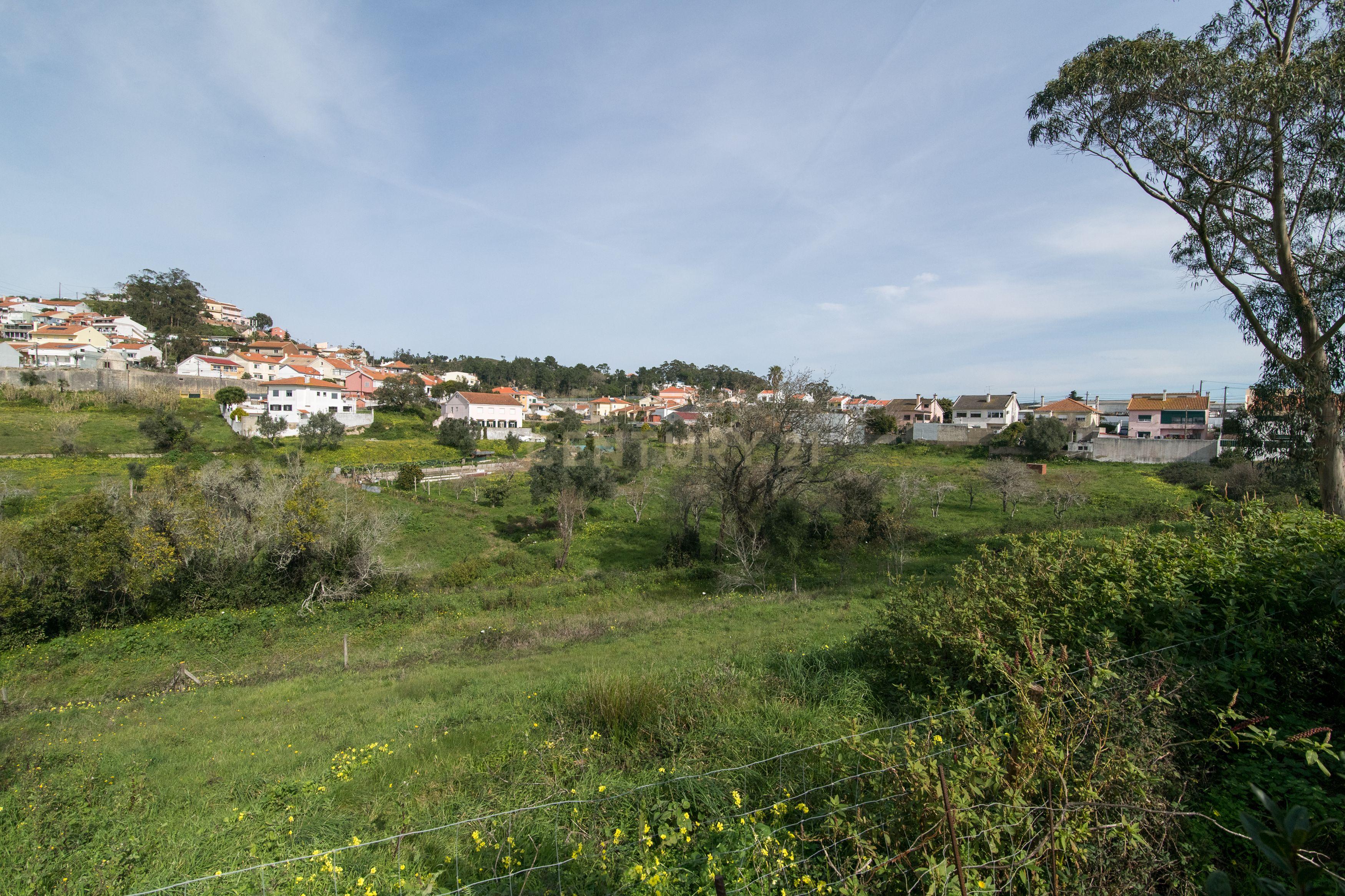 Quinta do Bretão – Um Paraíso no Campo às Portas da Cidade - Image 11