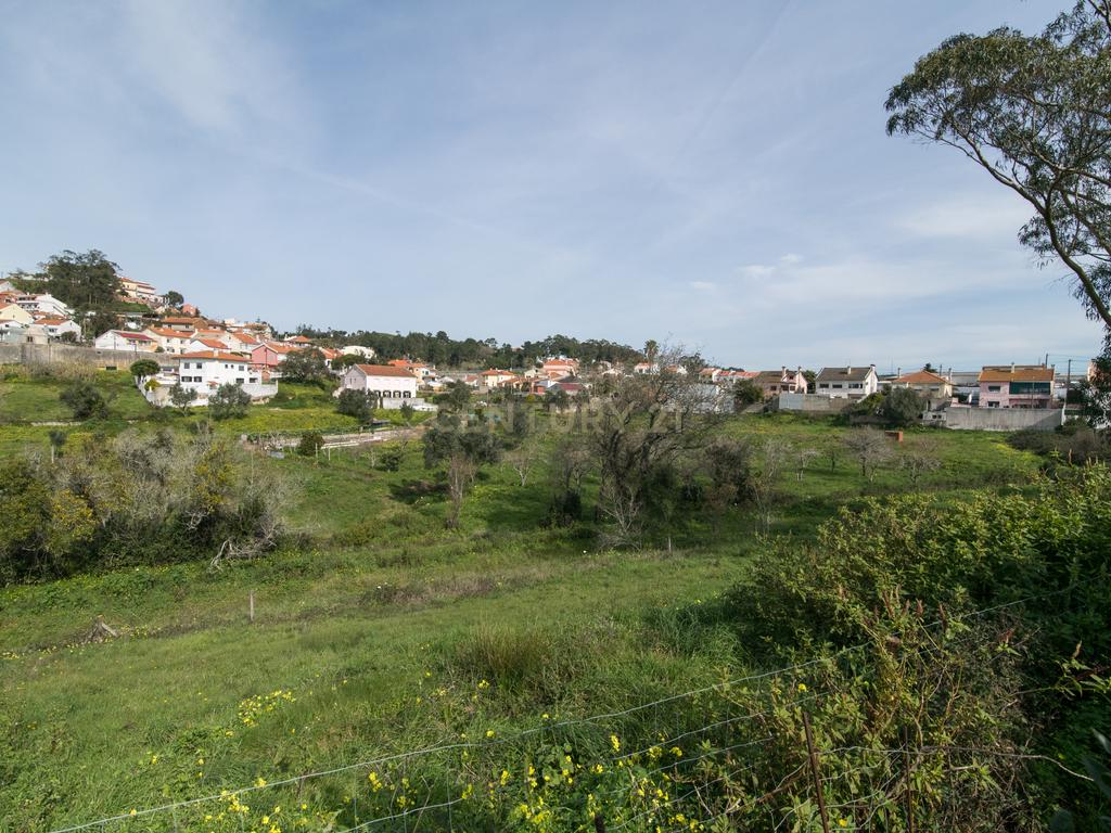 Quinta do Bretão – Um Paraíso no Campo às Portas da Cidade - Image 11